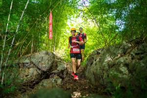 BIB: 
                            <button type="button" onclick="openModal(22087923)" class="btn btn-primary btn-sm float-right btn-popup" data-toggle="modal" data-target=".modal-high-quality">
                        <i class="fas fa-shopping-cart"></i> Add to Cart
                    </button>
                                            <button type="button" onclick="isThisMe(22087923, true)" class="btn btn-success btn-sm float-right btn-popup btn-isme hidden" data-toggle="tooltip" data-placement="bottom" title="นี่คือรูปของคุณใช่ไหม คลิกที่นี่เพื่อเอาเข้าอัลบั้ม">
                        <i class="fas fa-plus"></i> Add to album
                    </button>
                    <button type="button" onclick="isThisMe(22087923, false)" class="btn btn-warning btn-sm float-right btn-popup btn-isnotme hidden">
                        <i class="fas fa-ban"></i> Remove from album
                    </button>